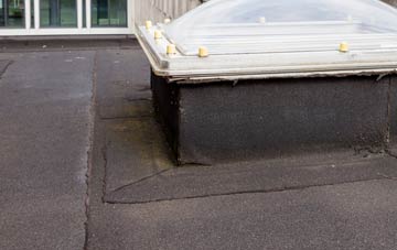 disadvantages of Winterborne Zelston flat roofs