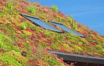Winterborne Zelston living roof systems