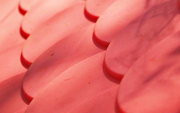 Winterborne Zelston plastic roof costs