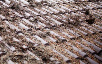 Winterborne Zelston roof cleaning companies