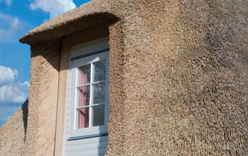 Winterborne Zelston thatch roof disadvantages