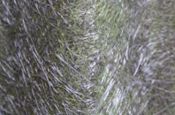 Winterborne Zelston fibreglass roof work